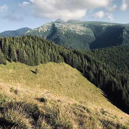 Penzion Wild Hunts Retezat Rausor